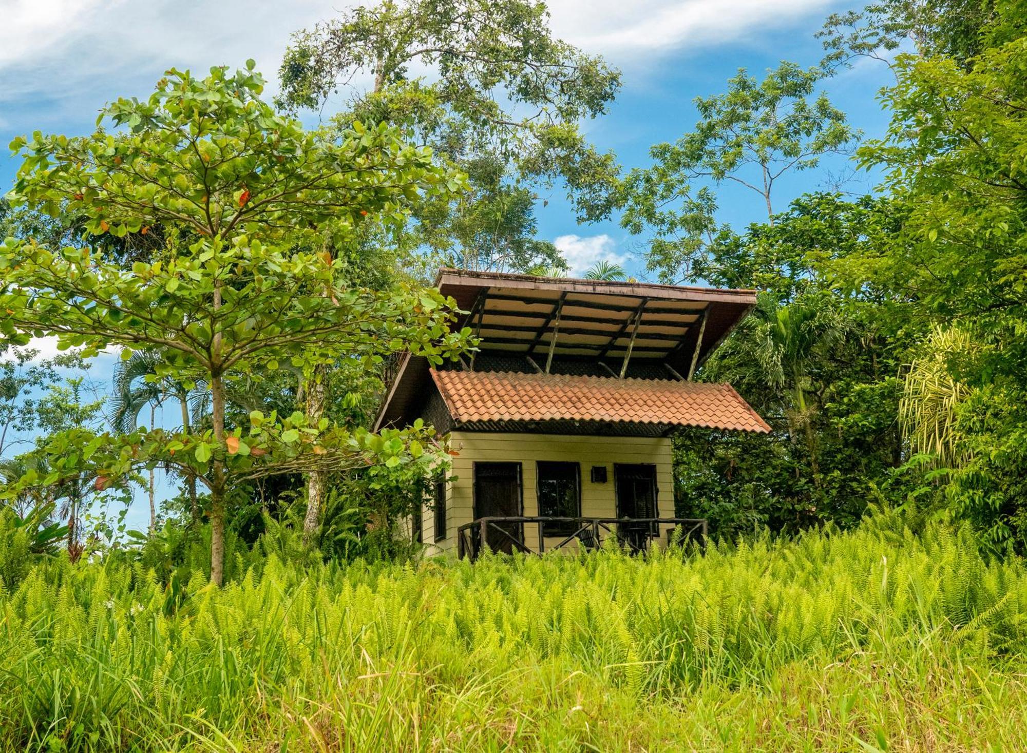 Maquenque Ecolodge Boca Tapada Bagian luar foto