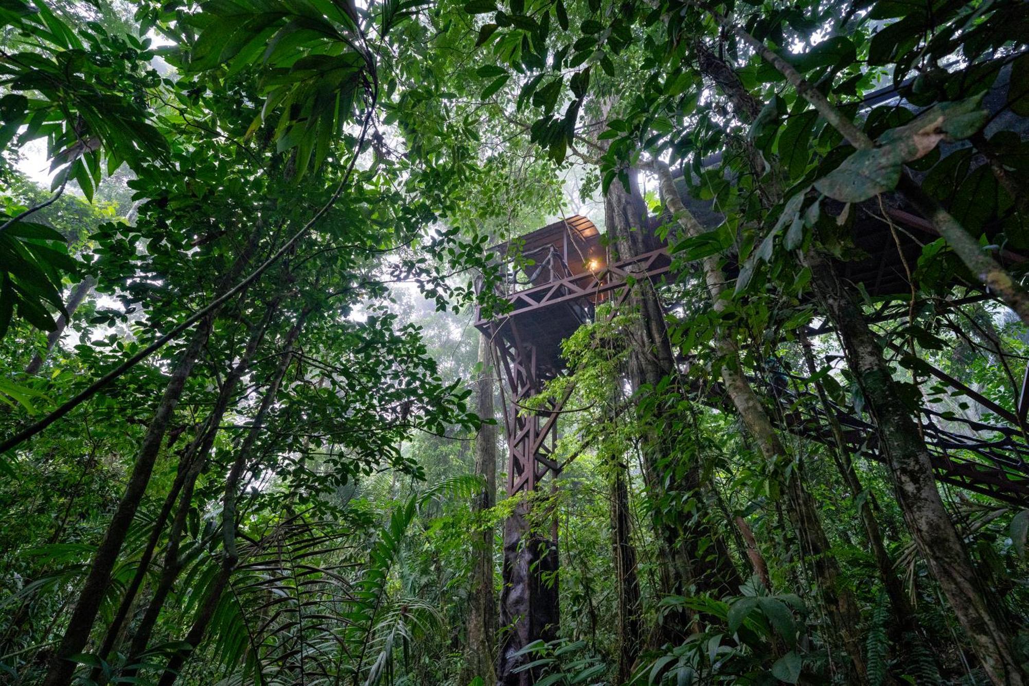 Maquenque Ecolodge Boca Tapada Bagian luar foto