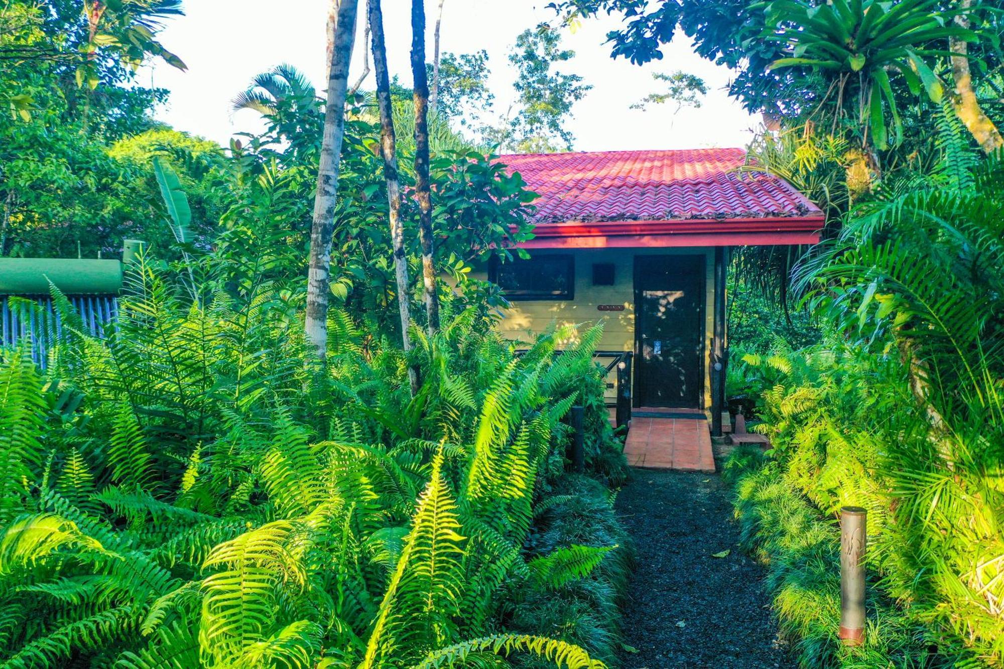 Maquenque Ecolodge Boca Tapada Ruang foto