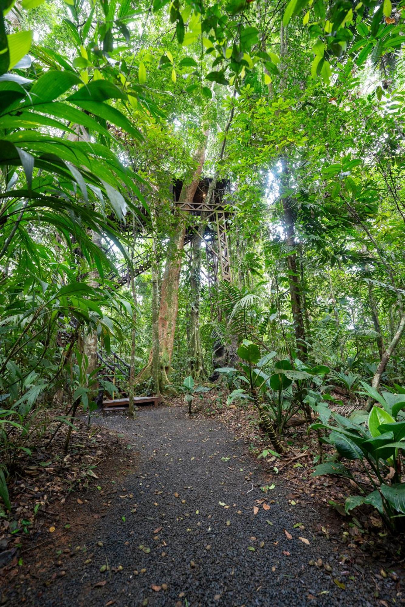 Maquenque Ecolodge Boca Tapada Bagian luar foto